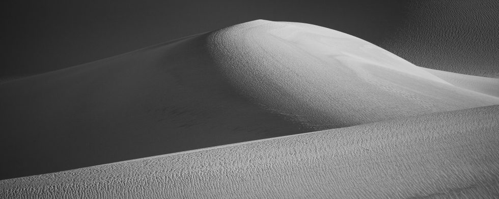 Sensuous Dune