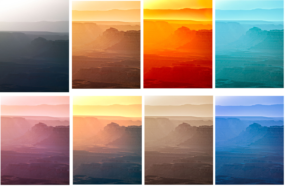 The raw file and the seven variations I created from it.
