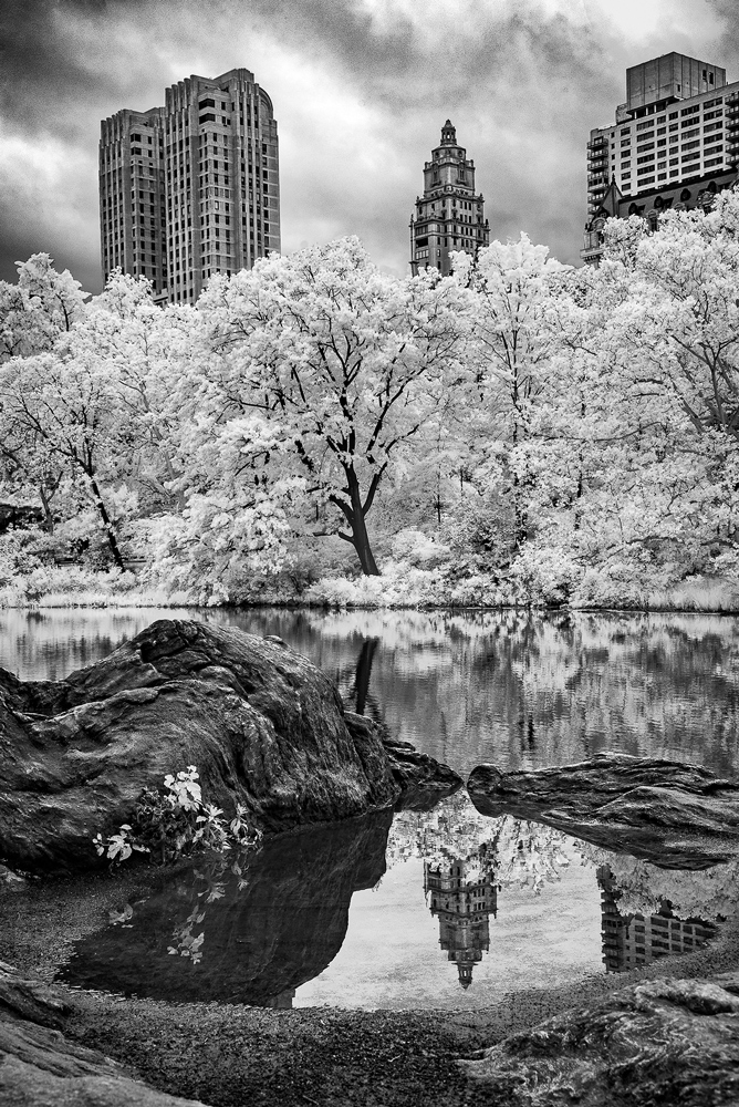 Central Park Reflection