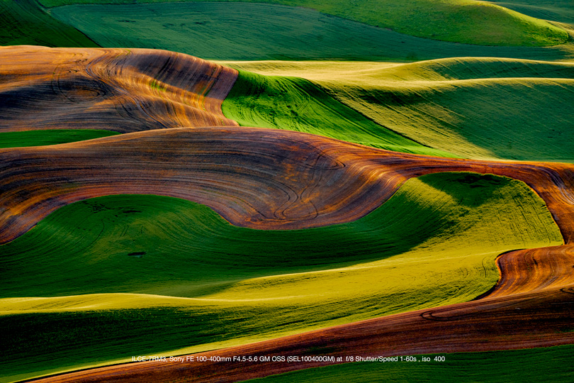 Photographed in the Palouse