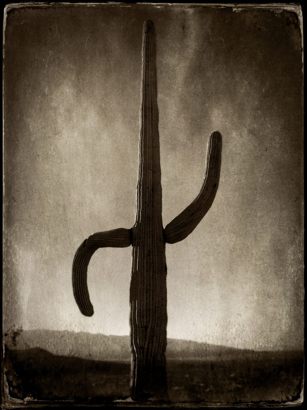 Post processed tintype of iPhone capture