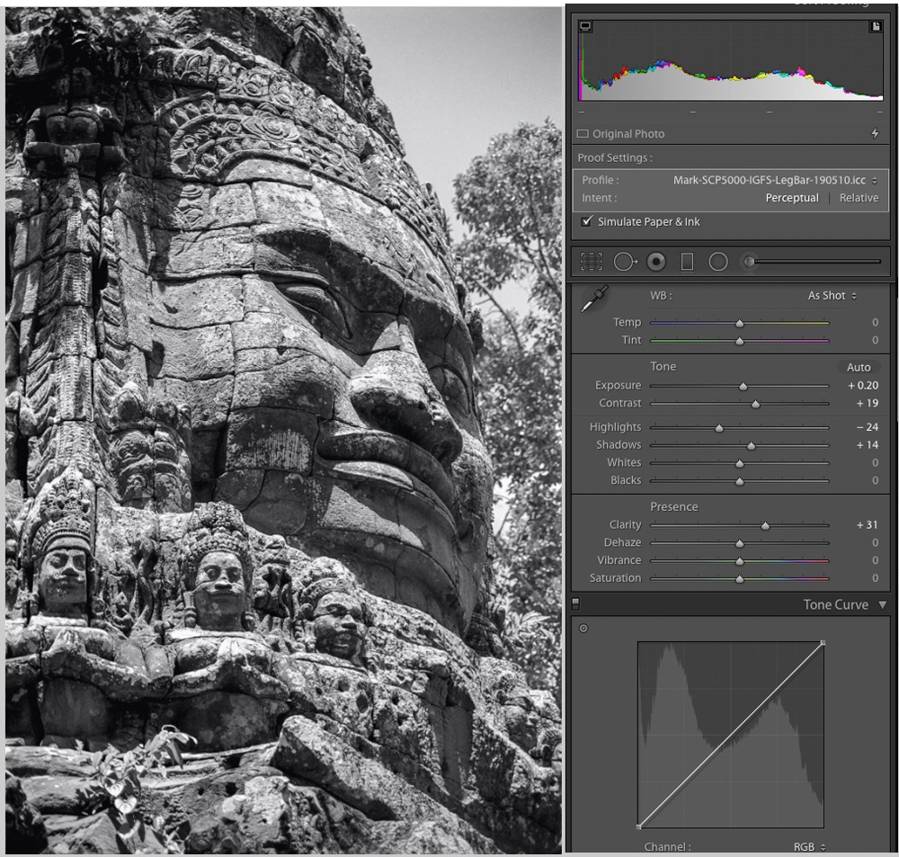 Figure 30-1. Angkor Stone Face – IGFS