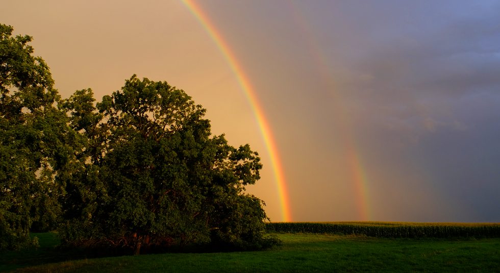 Indiana Rainbow1