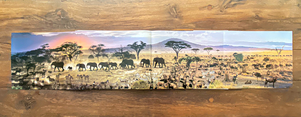 One of many multipage gatefolds, this one is a detail of the Serengeti Day-to-Night image. 
