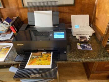 Epson P700 Print At Home – Print Them Out! No Excuses