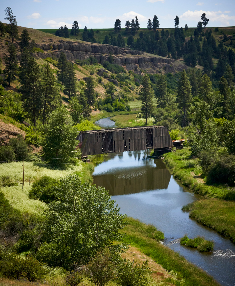 This wooden bridge was destroyed in the fires that swept up through this canyon. While green in this photo since it was shot in June. The Palouse becomes very dry in late summer. 