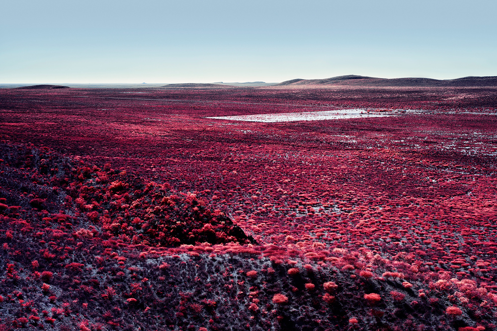 Zak van Biljon (Switzerland) Kalakwa 5 Color Infrared image – Namibia from the series Modernising Nature http://zakvanbiljon.com/