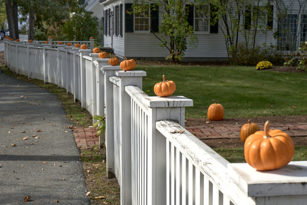 Pumpkins on Fence