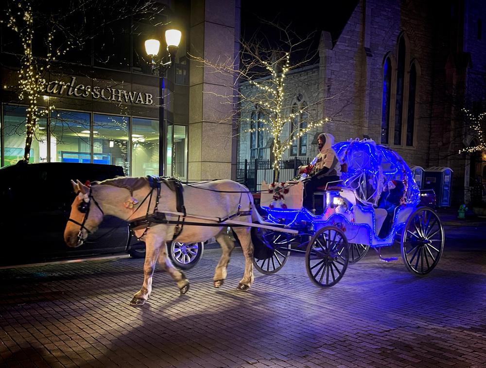 Lighted carriage rides are very popular