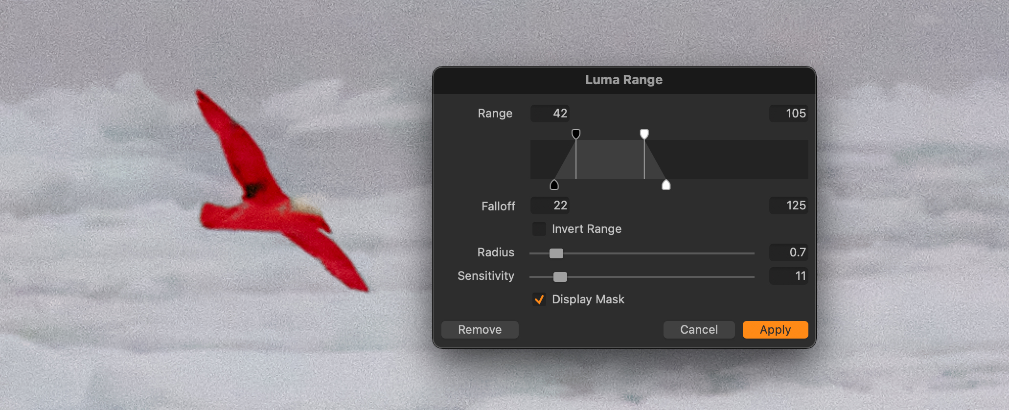The bird showing the luminosity mask settings, see how well you can outline the subject this way.