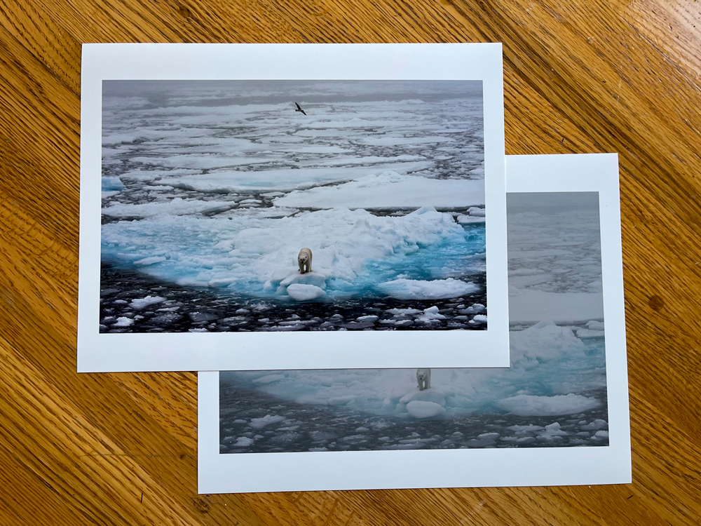 The RAW and final image on inspection prints