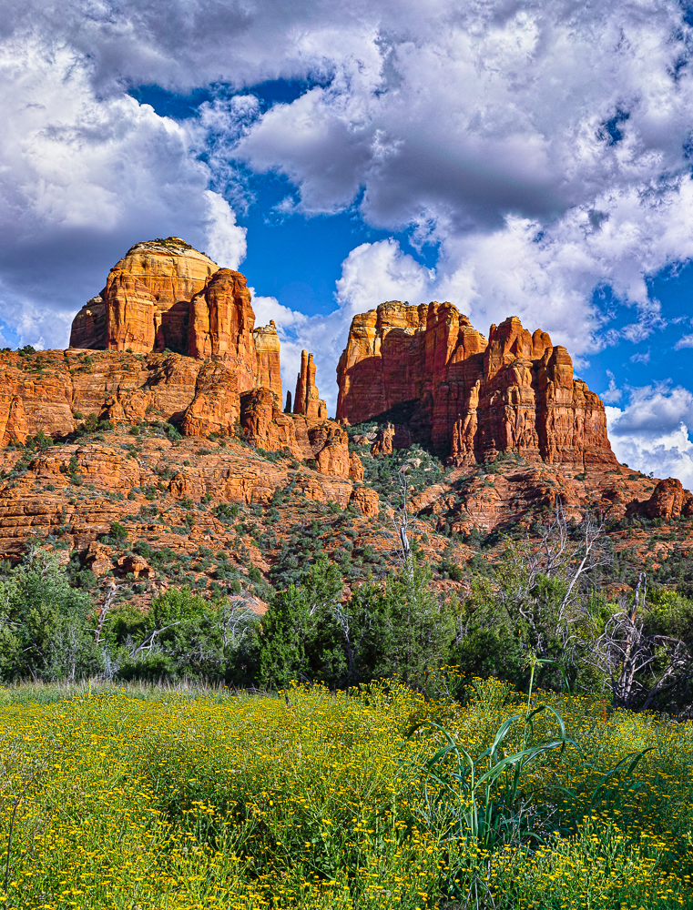 Cathedral Rock, Late Summer Bloom, Sedona, 4 x 4 Array
