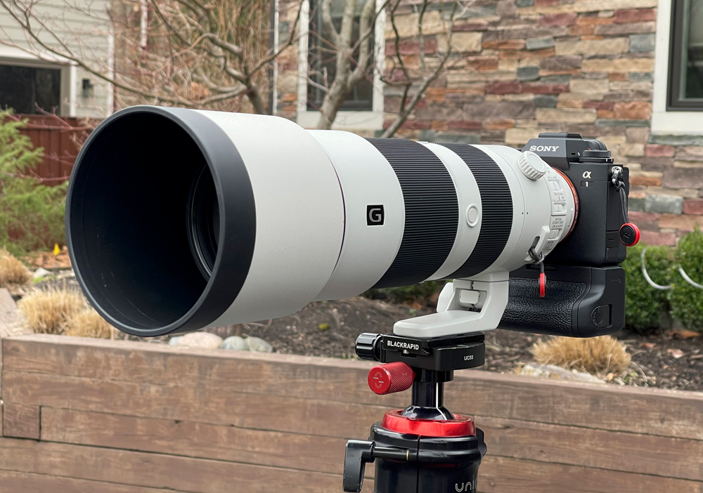 Sony 200-600 Review for Wildlife/Bird Photography 