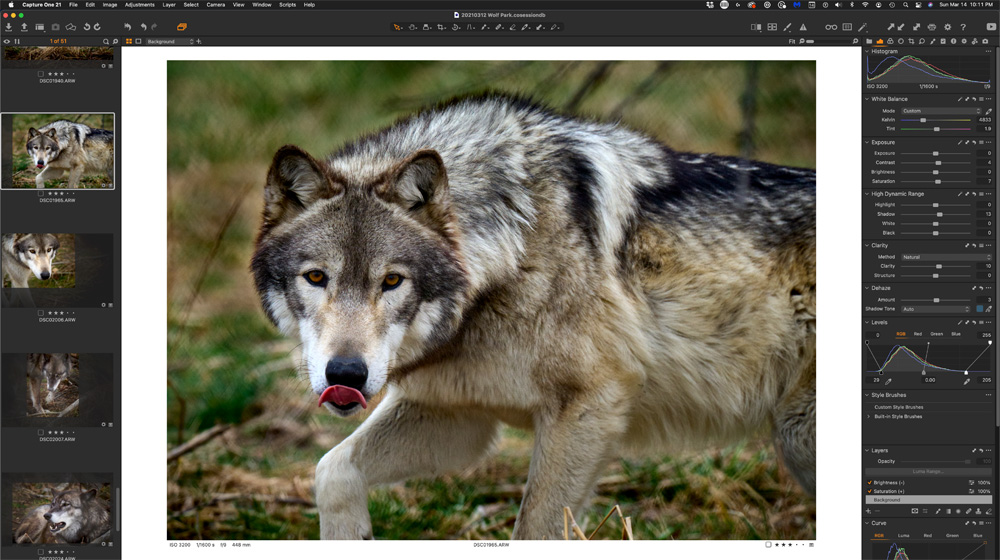 Capture One 21 Edits The Wolf Session
