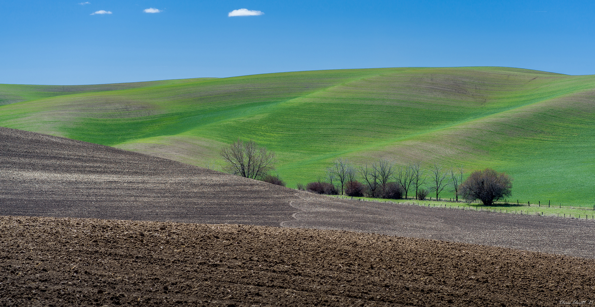 Soft colors just emerging from a monochrome winter dormancy; earth tones with patterning in the tilled soil; natural and manmade lines and shapes document the early spring Palouse landscape.