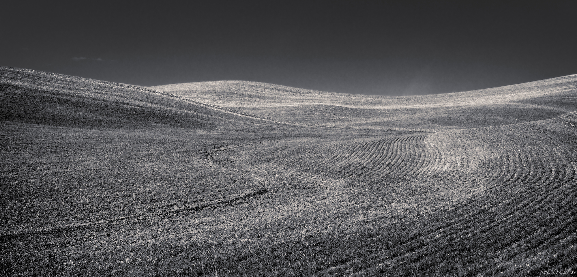 Precise and artful plowing patterns are drawn in the soil.