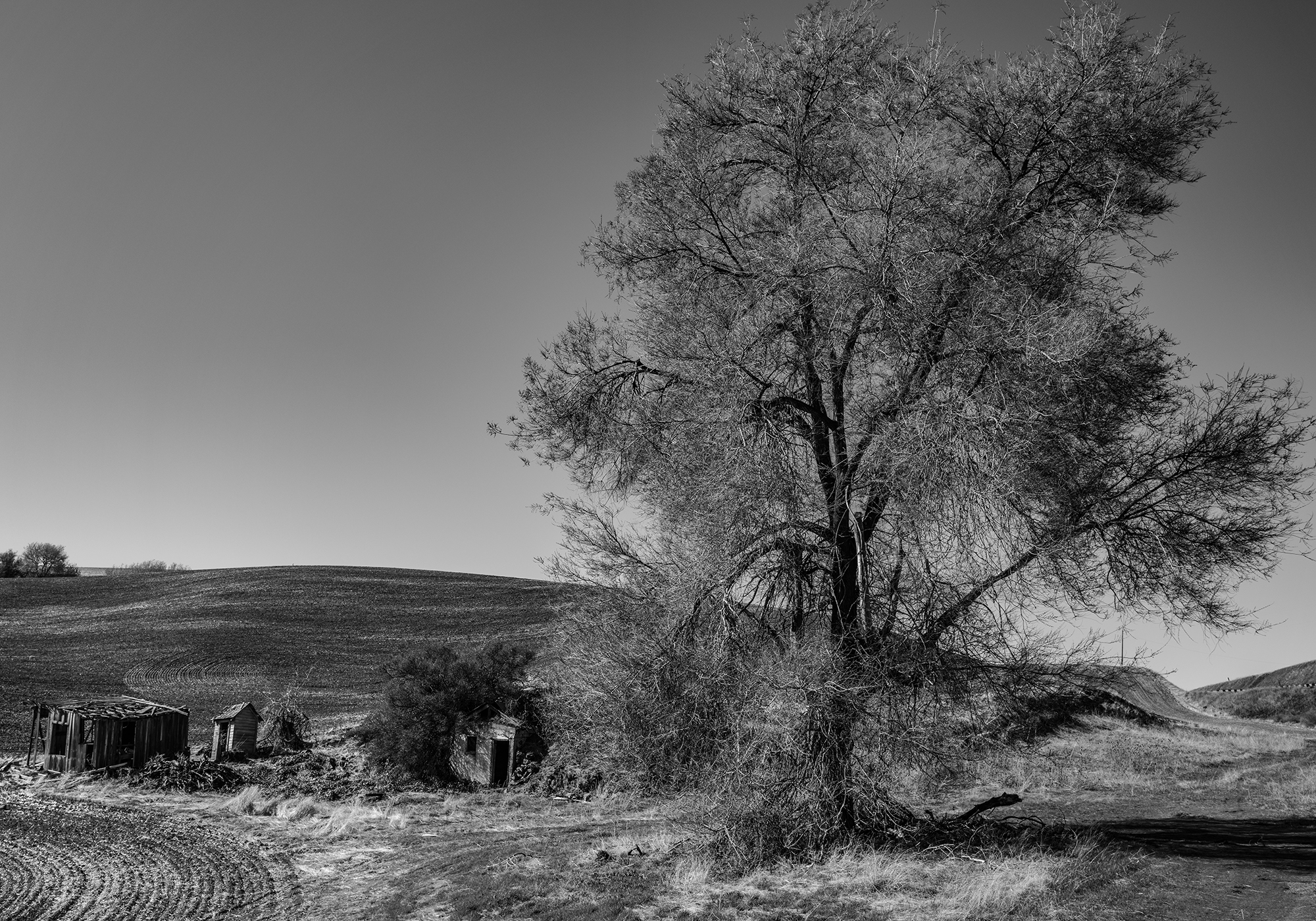 Remnants of an old homestead speak to a hardscrabble lifestyle in years past.