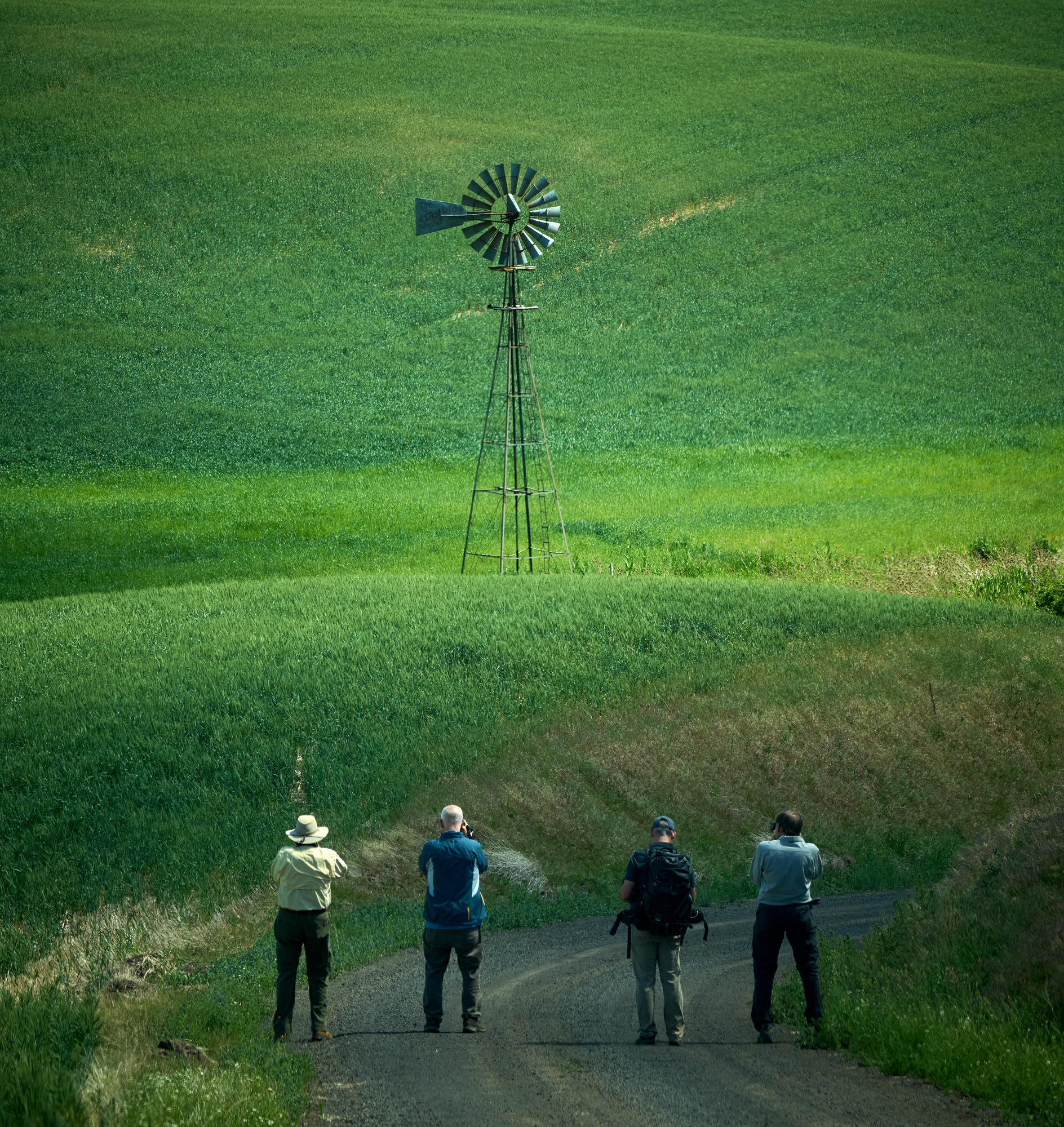 The four attendees of the workshop working on a windmill image