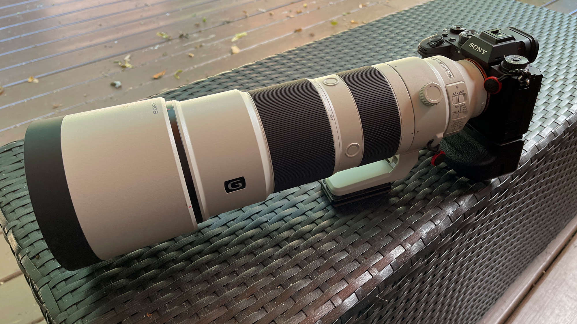 The Sony a1 with the 200-600mm G lens