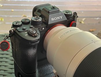 Sony a1 and the 200-600mm G lens – Backyard Test