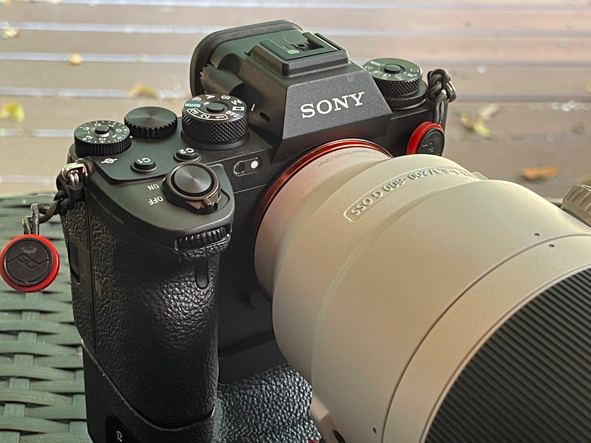 stout alliantie schieten Sony a1 and the 200-600mm G lens – Backyard Test – PhotoPXL