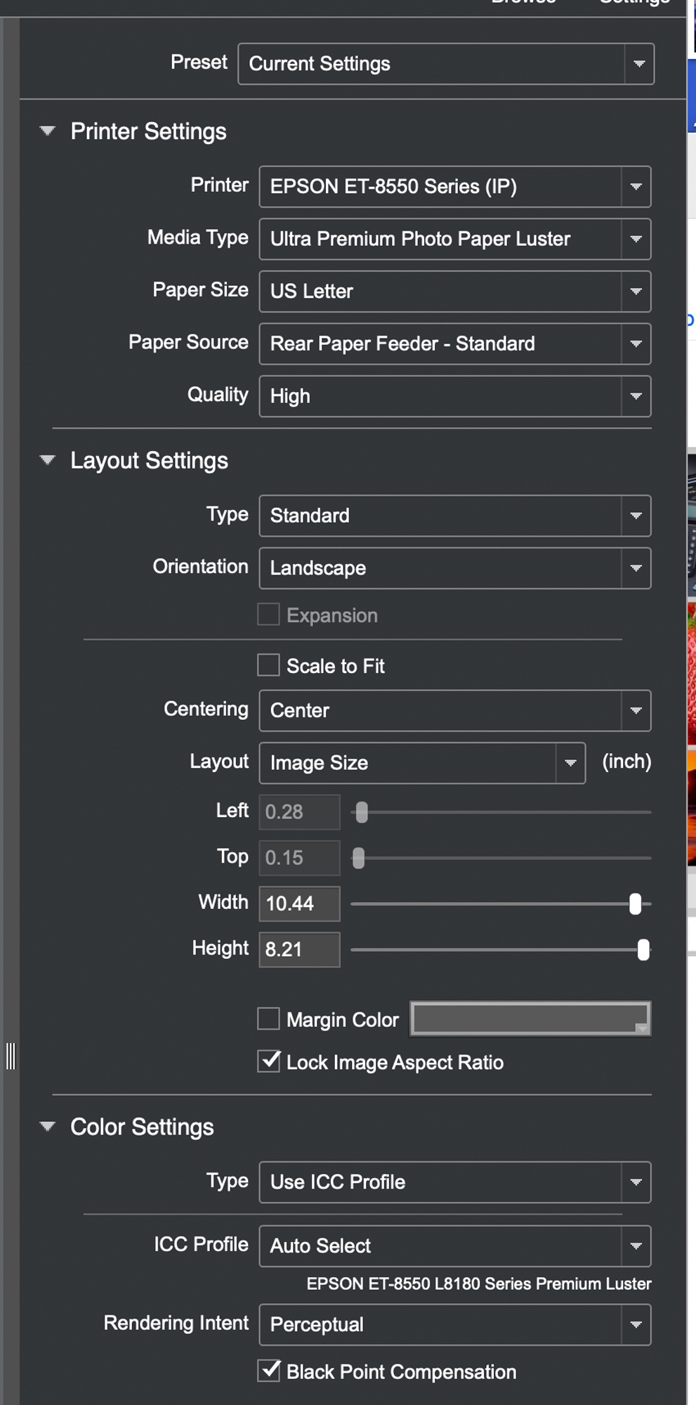 The Epson Print Layout settings