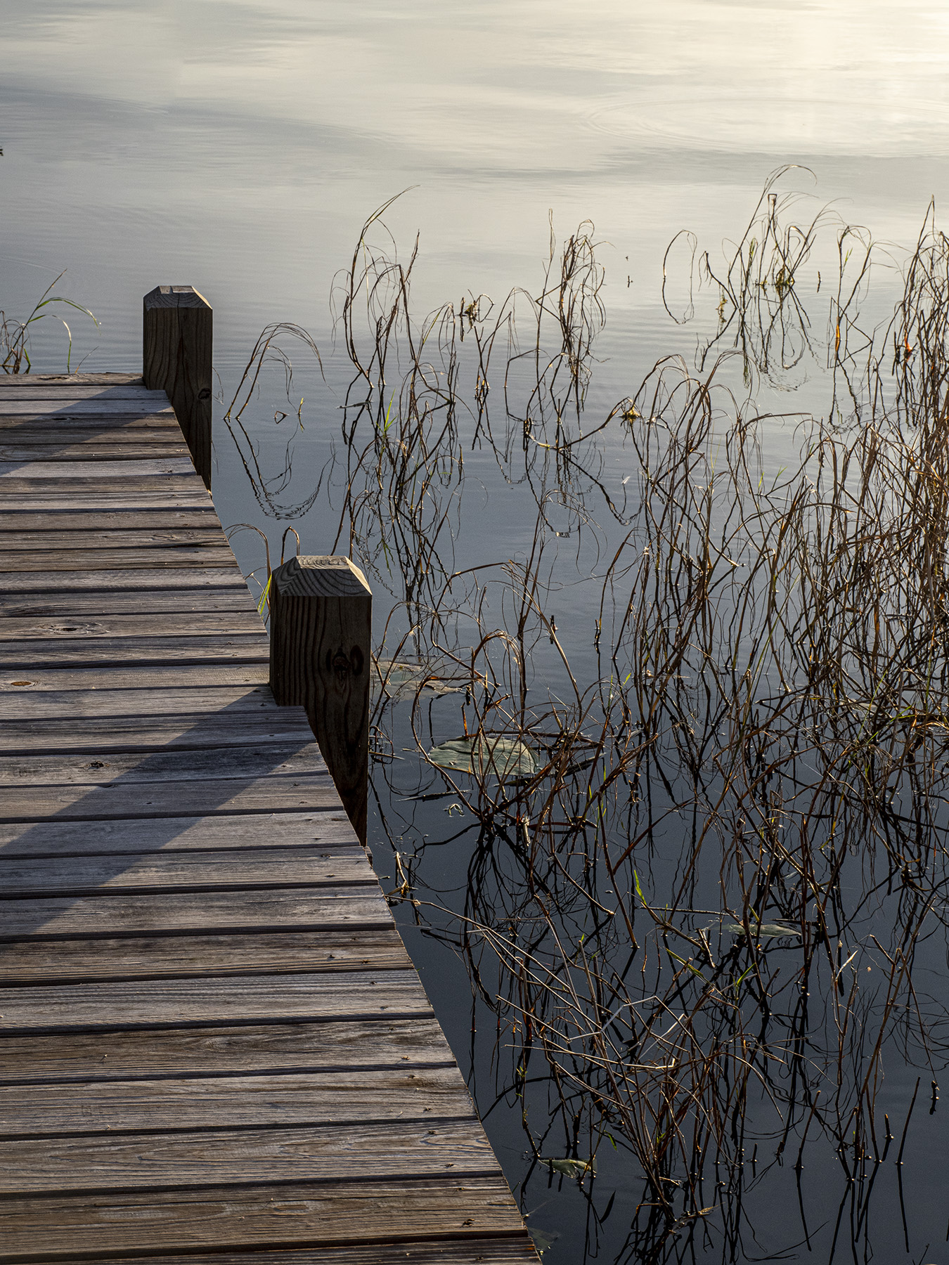 Another-Dock