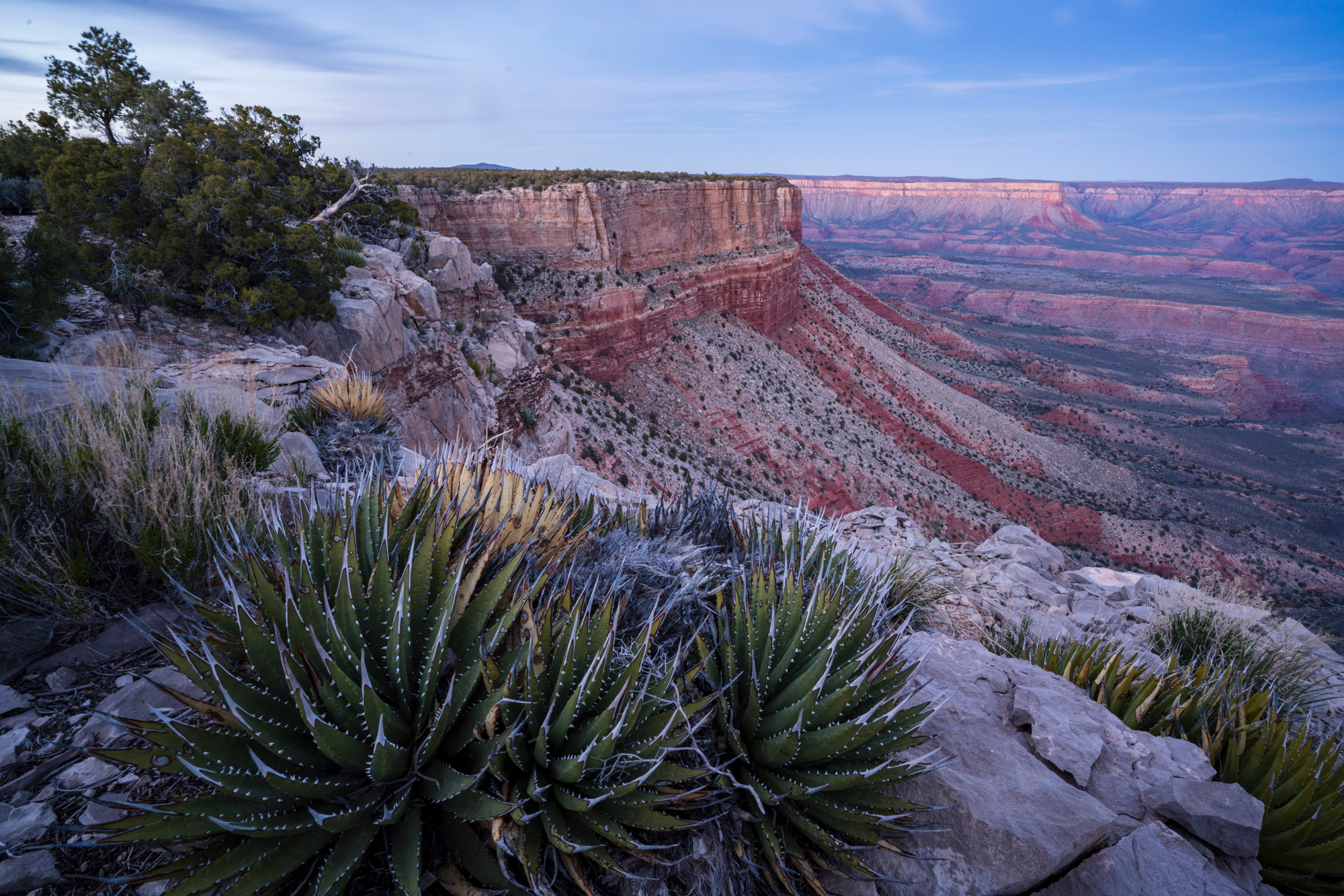 Twin Point, Grand Canyon-Parashant National Monument, Arizona