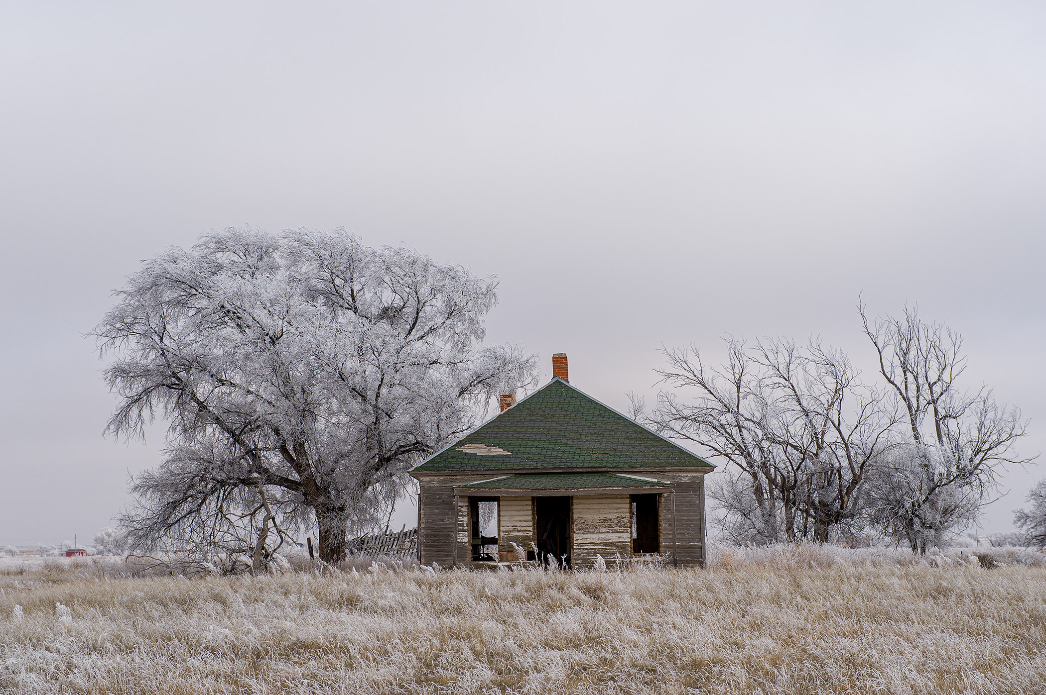 Texas-Frost-Storm