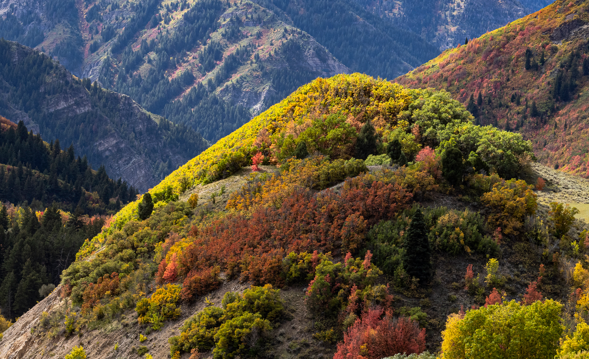 Fall Color, Provo, UT, View #3