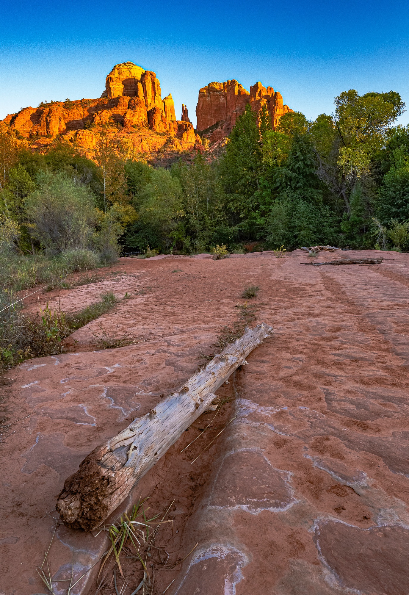 Cathedral Rock from a red rock bank of Oak Creek