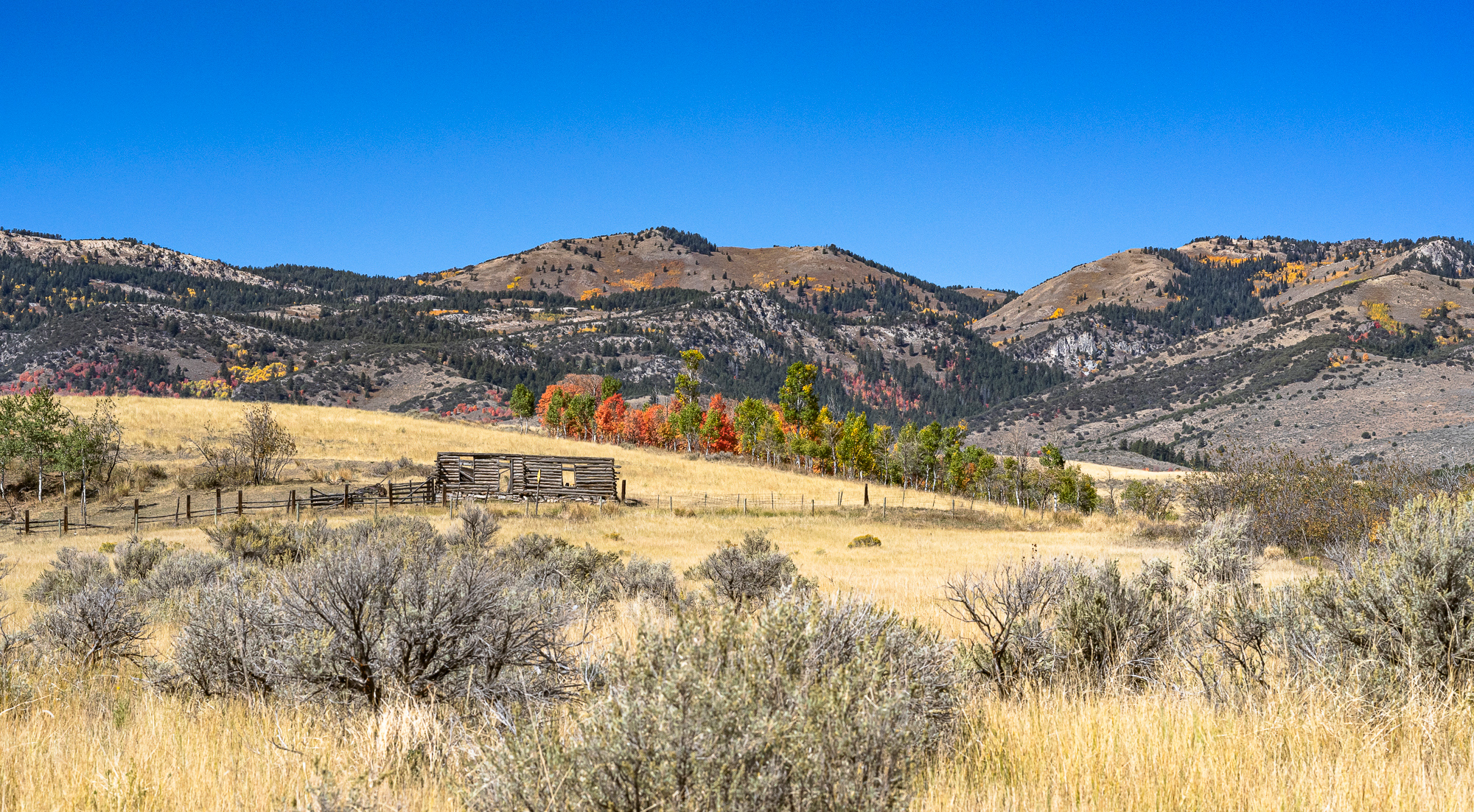 Lonely ranch dressed up for Fall, Idaho