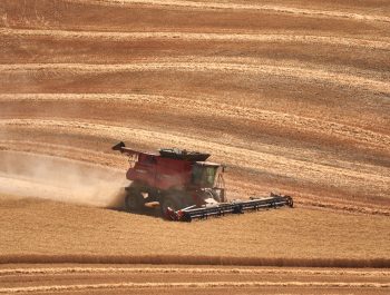 Palouse Harvest Workshops – August 18-23 and 25-30, 2022
