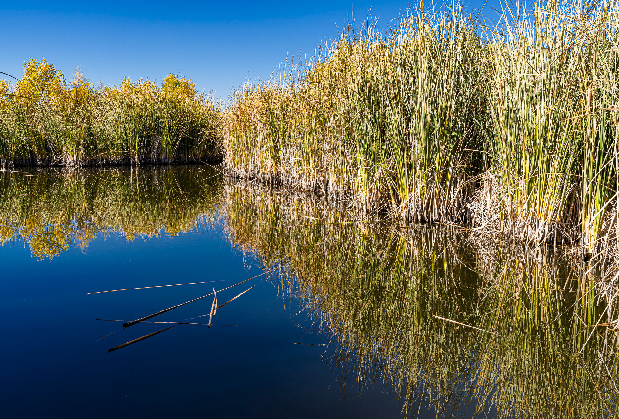 Sedona Wetlands, 2019; A7rM4, Sony 16-35 GM, +.7 EV, ISO 200