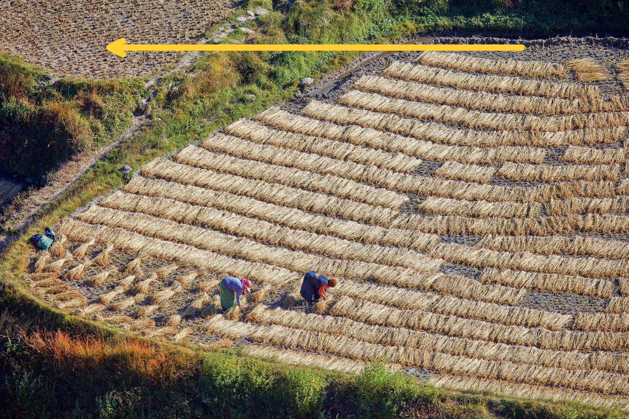 The pattern of the drying crops is a positive, but the pattern stops in the top left corner and so the effect is diminished.