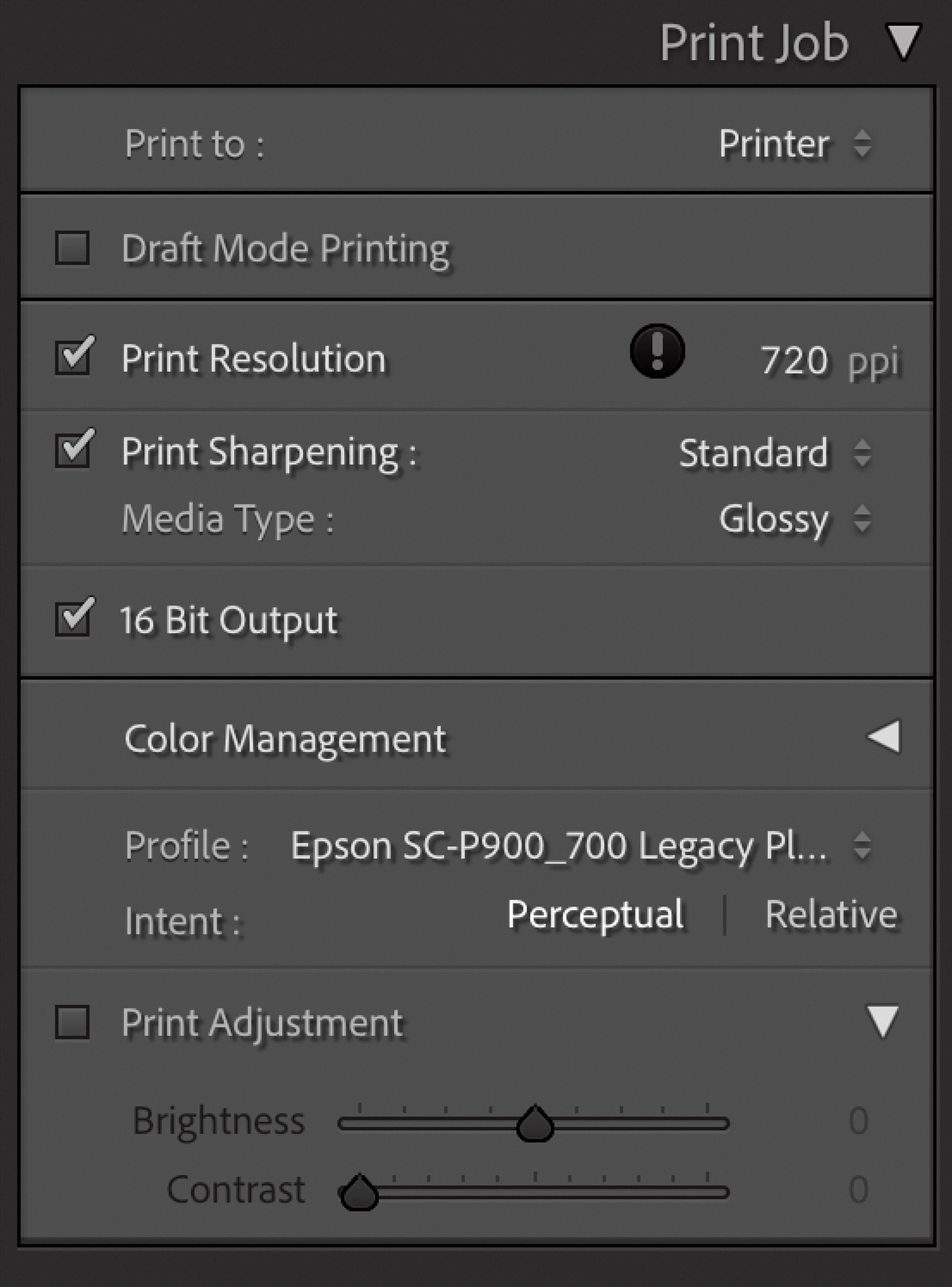 The Print Job panel with parameters set.