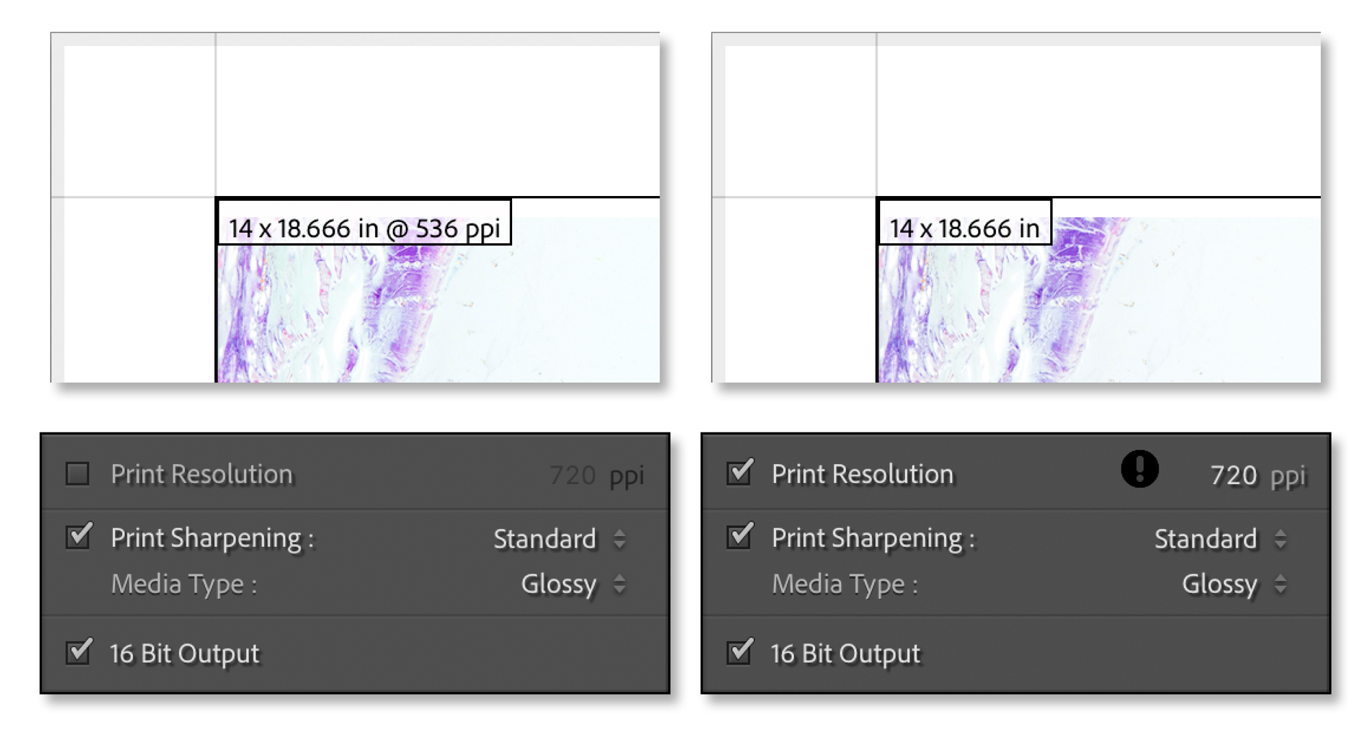 For this image, to print out on 17”x22” with 1.5” margins the native resolution would be 536 ppi at a size of 14”x18.66”. So, I check the Print Resolution and upsample to 720 ppi. By the way, the print sharpening (from PG’s output sharpening) is applied AFTER the image is upsampled.