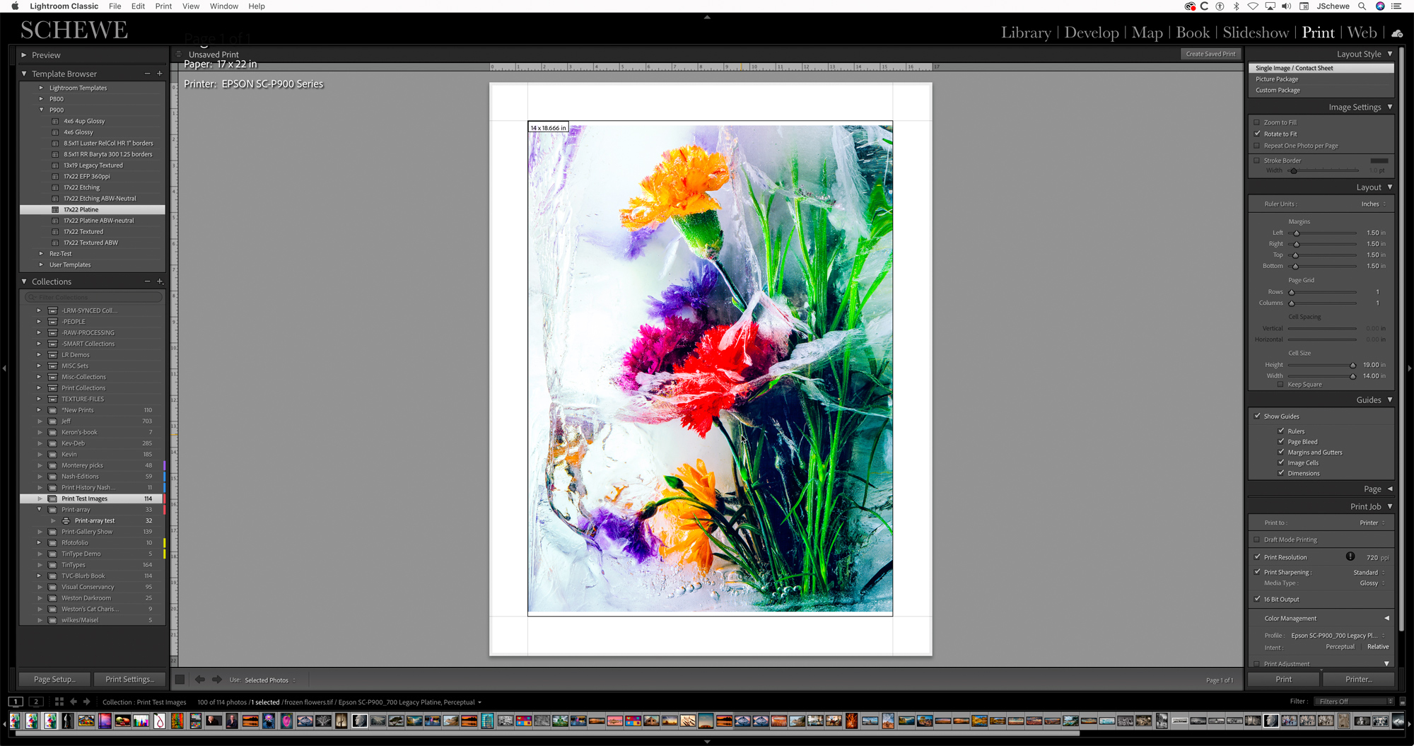 The main Print module of Lightroom. The image was set up to print to Epson Legacy Platine paper using the Perceptual rendering intent. I set the resolution to interpolate up to 720 PPI.
