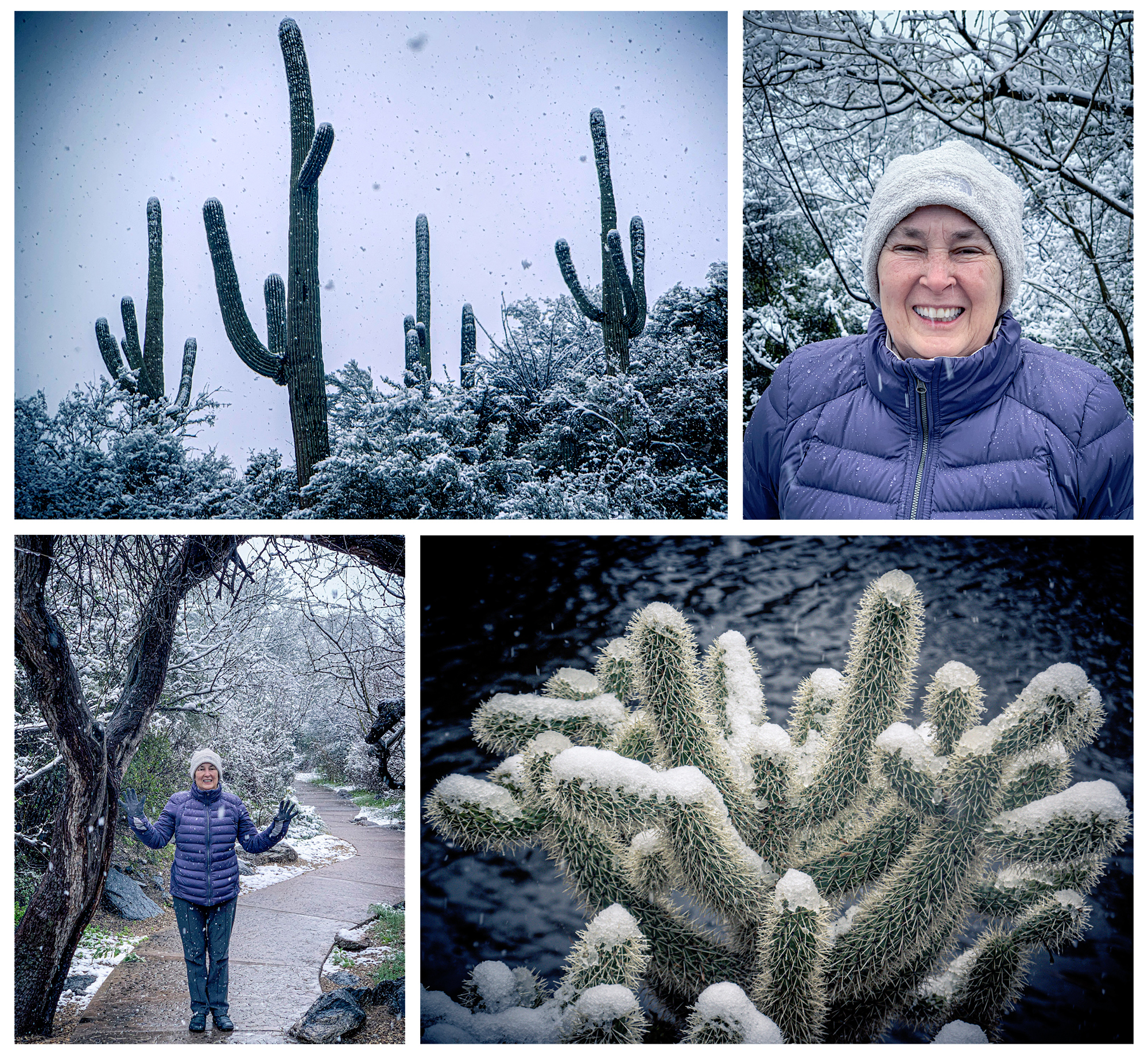 Here are shots from our hotel grounds when we ventured out on the morning of February 22, 2019. By Chicago standards, a mild snowfall but it wasn’t anywhere near 69°F. That’s my wife Becky laughing in the snow!