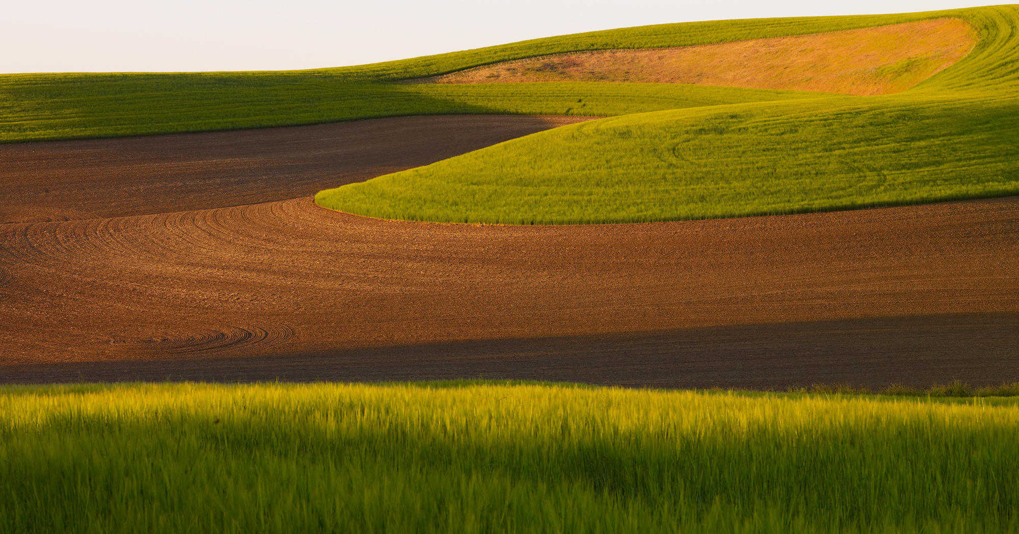 Plowed fields and growing wheat are all about the spring trips. Be ready for lots of green.