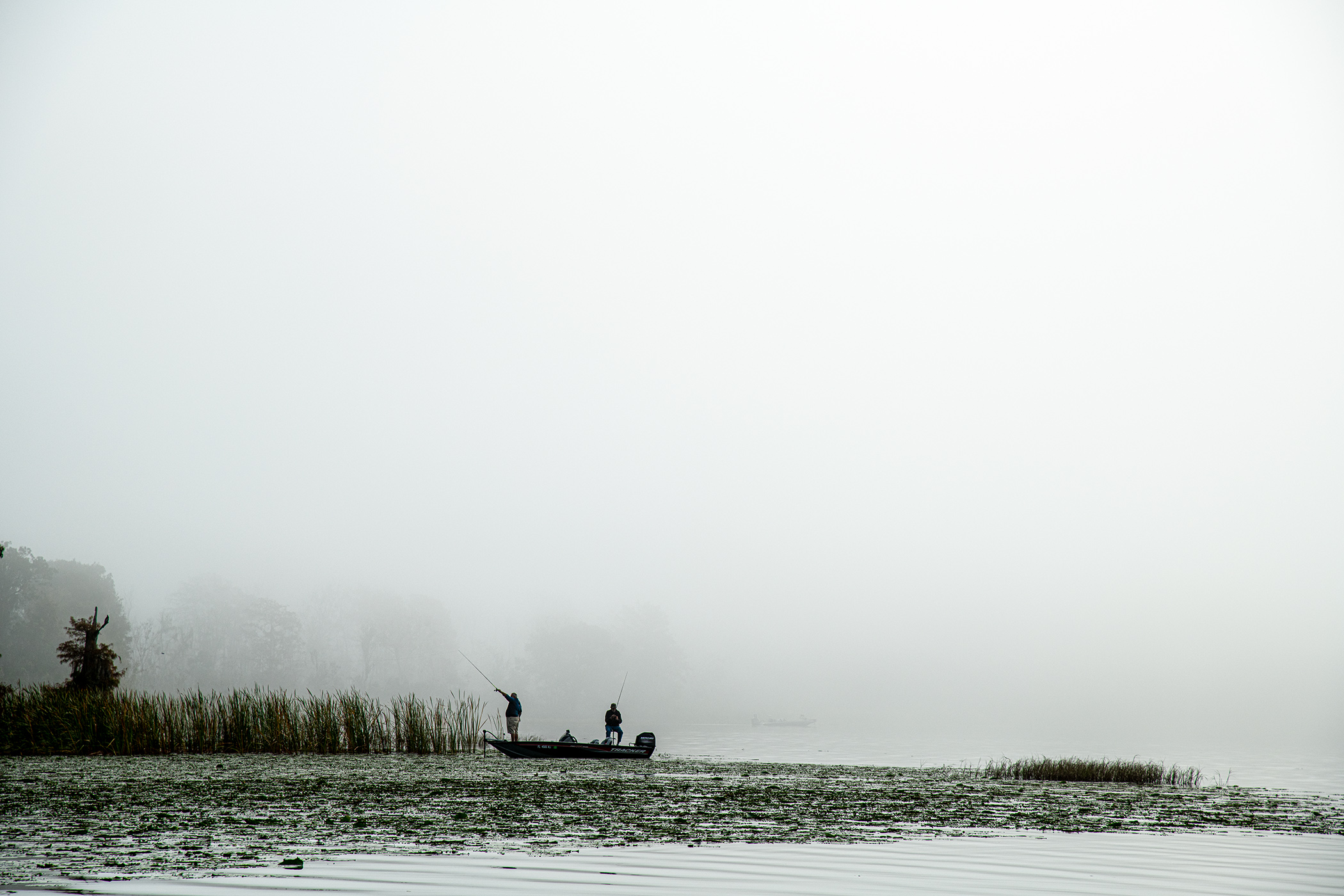 Fishing-in-the-Fog