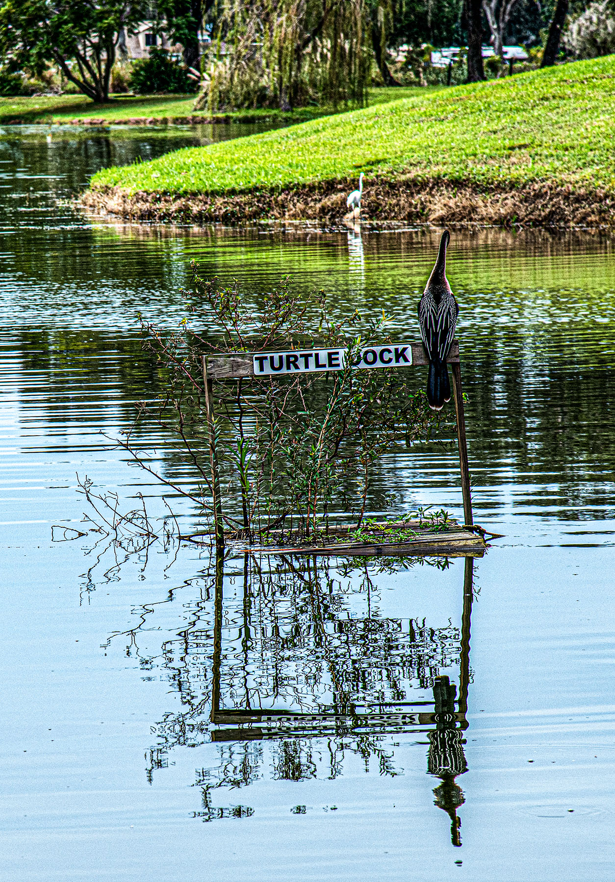 More-Turtle-Dock