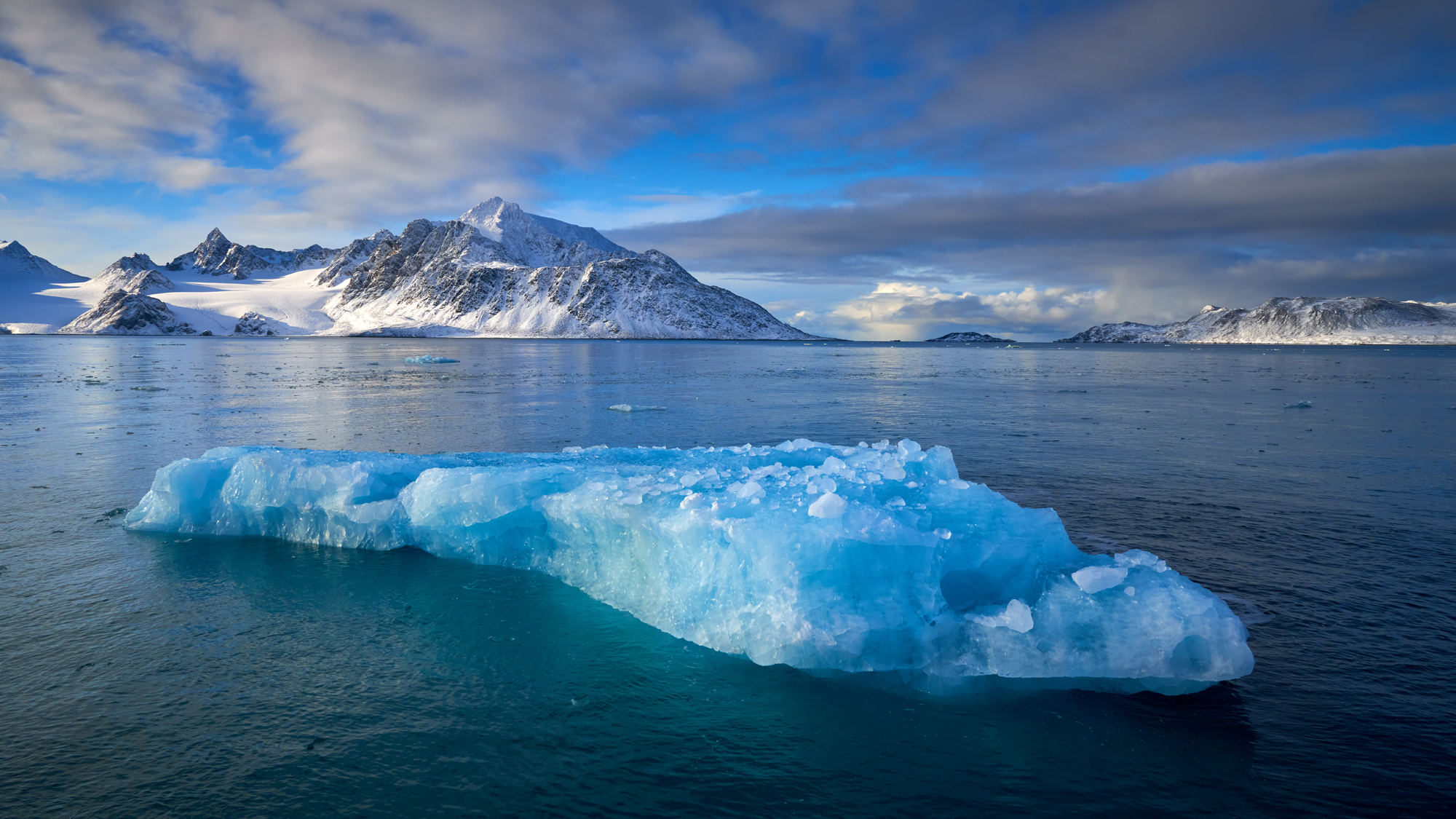 Iceberg, Svalabrd