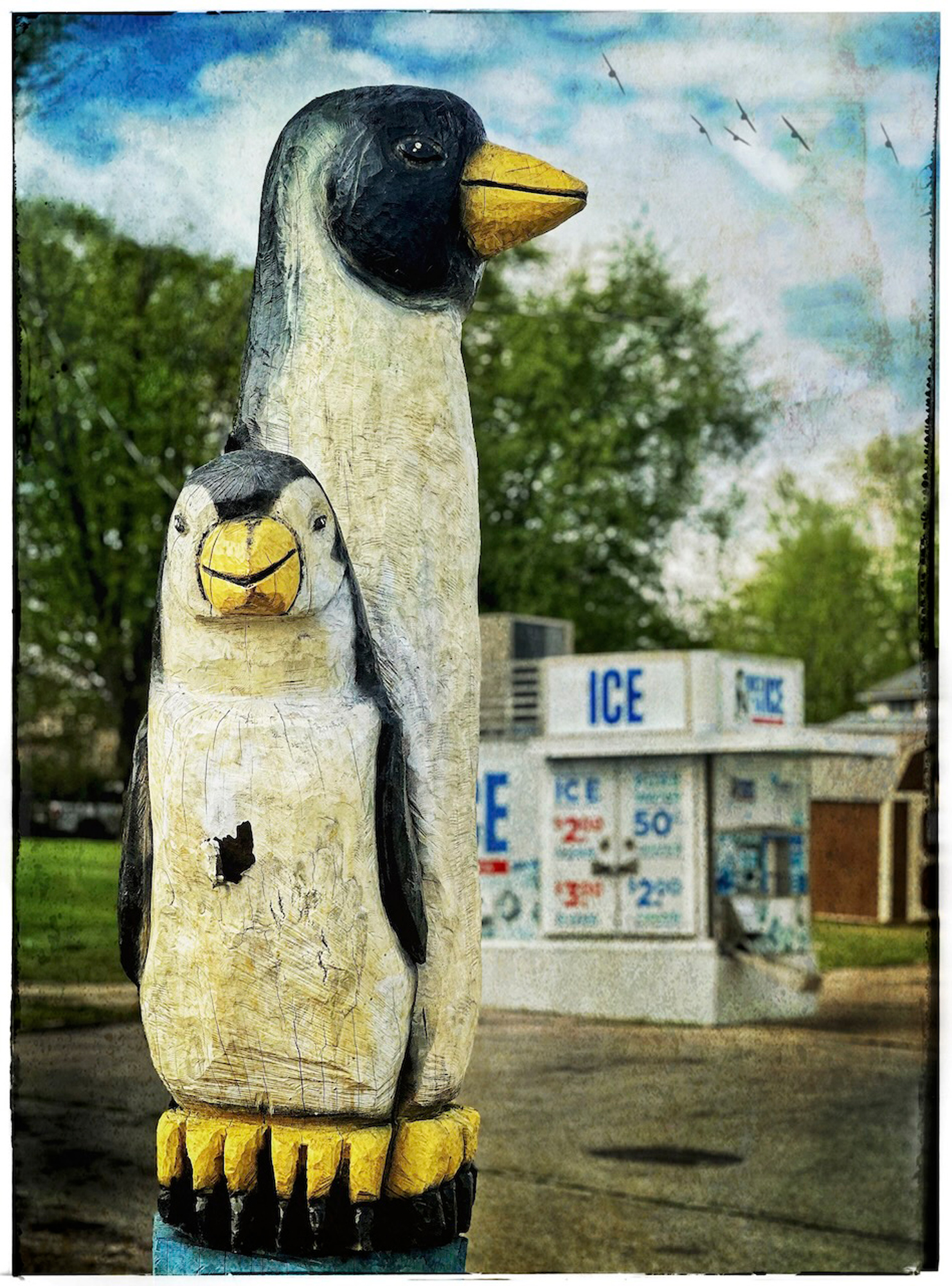 Our first stop was this crazy automated Ice Vending Machine. I like the two Penguins. Shot as a RAW file and processed. The modified in SNapseed, and texture and birds were added in Distress+