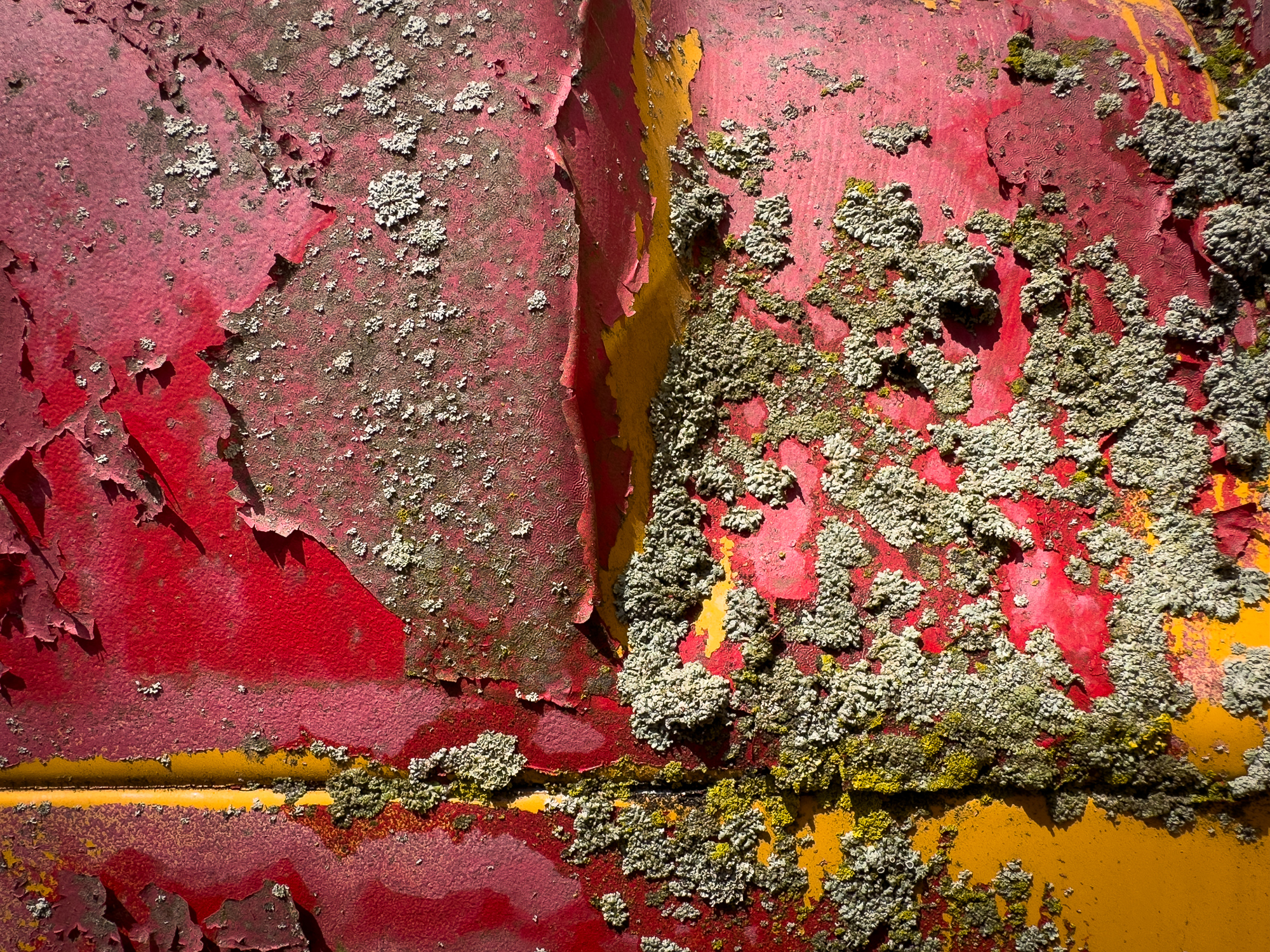Texture and color gave me an interesting image.