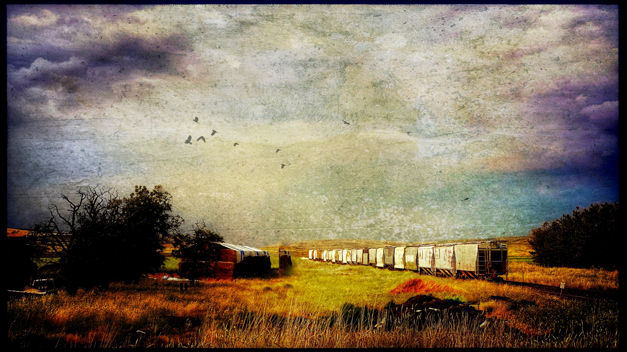OK, I had a bit of fun with this image of railroad grain cars. I added a texture and the birds.