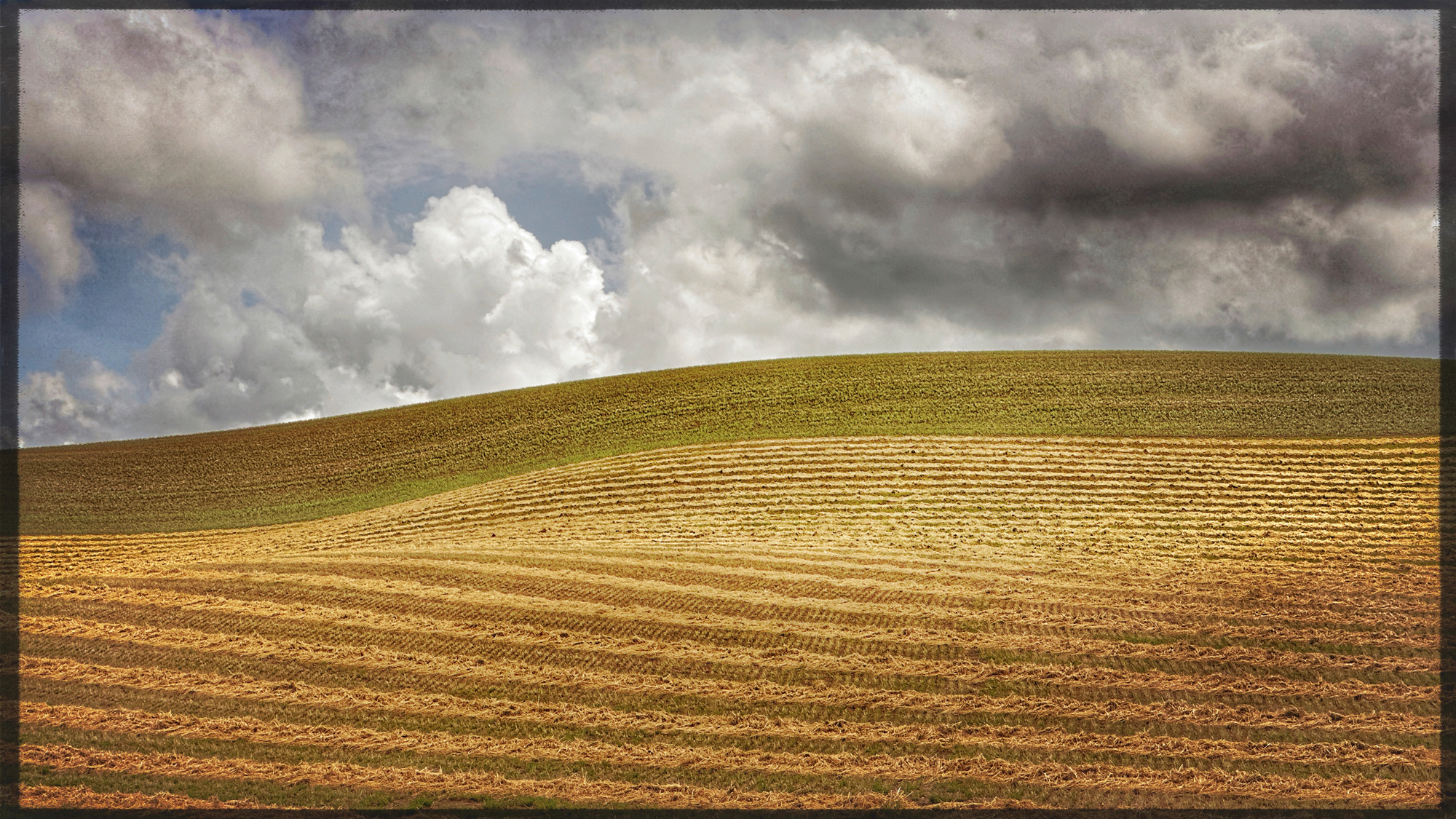 In this shot and the next I tried to find a balance of the curves of the hills, the plow lines and sky.  I like this one.