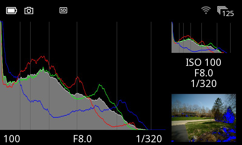 Full screen histogram will help make sure your exposure is correct