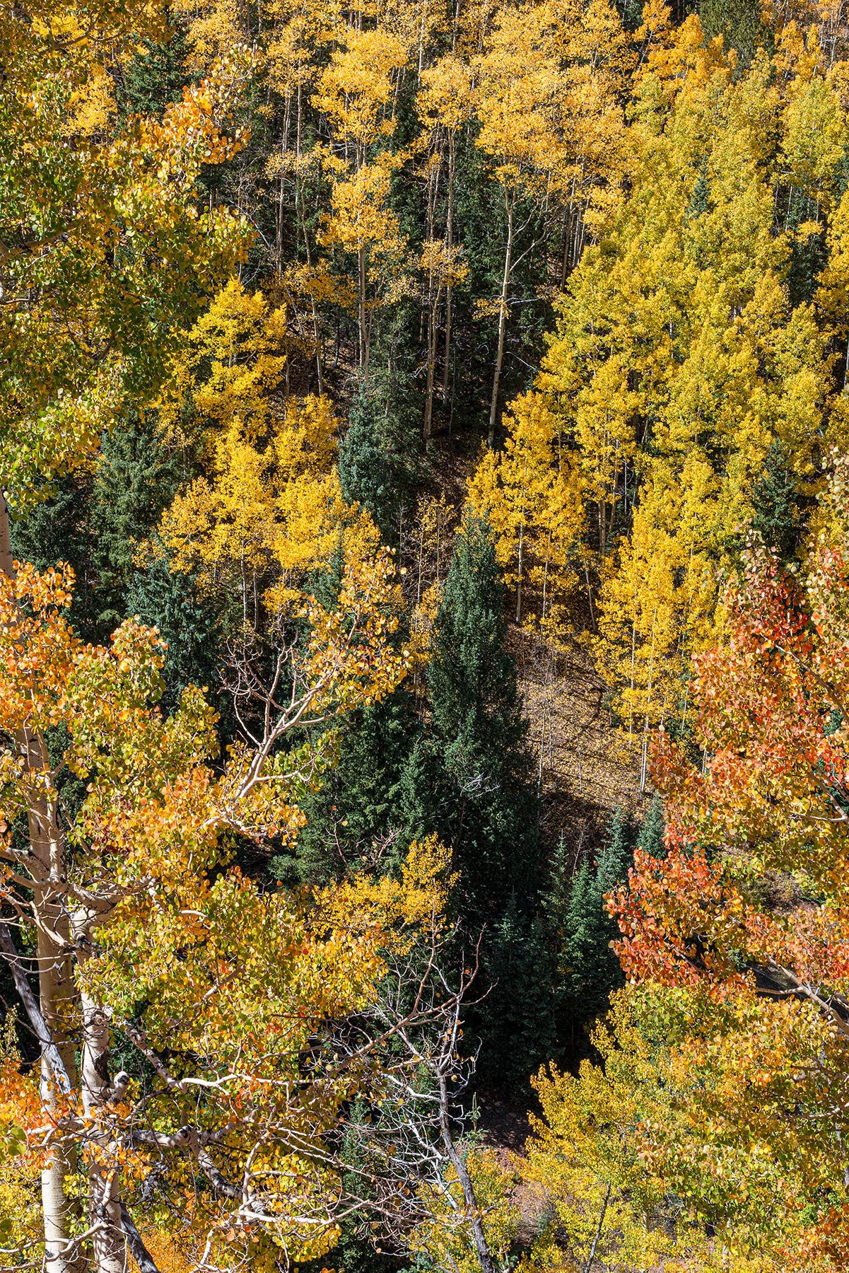 Colorado-Fall-2007