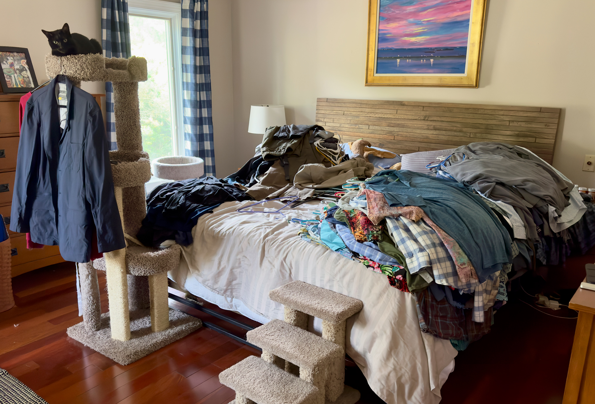 I thought cleaning out the closet would be a two-hour job. It took all day, and my cats supervised. What a great feeling to have a closet that is now sorted by type of pants, short sleeves, long sleeves, and T-shirts. 